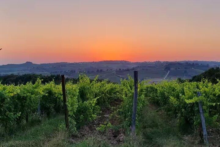Chianti: Weintour & Verkostung in der Toskana bei San Gimignano