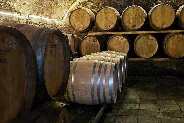 Chianti: Weintour & Verkostung in der Toskana bei San Gimignano