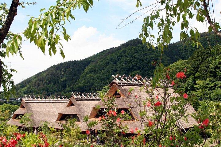Mt.Fuji,Arakurayama, Fujimichi,Oishi Park, Lake Kawaguchiko Tour