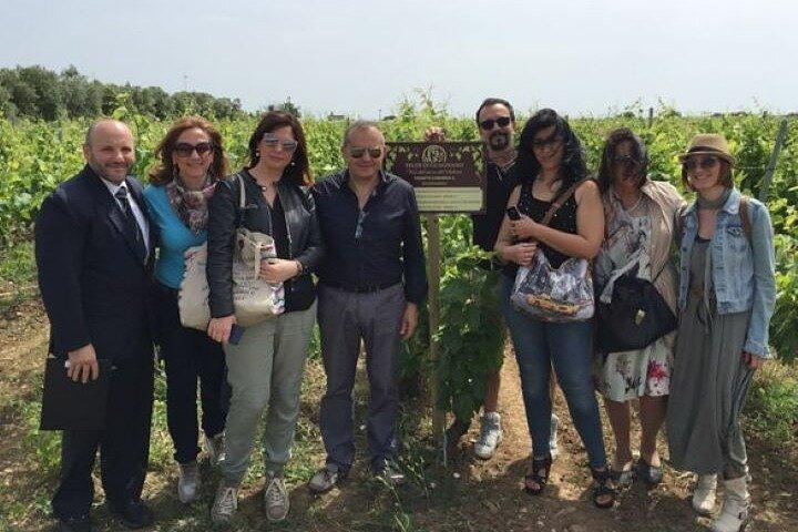 Negroamaro Wine Vineyard Tour and Tasting Experience