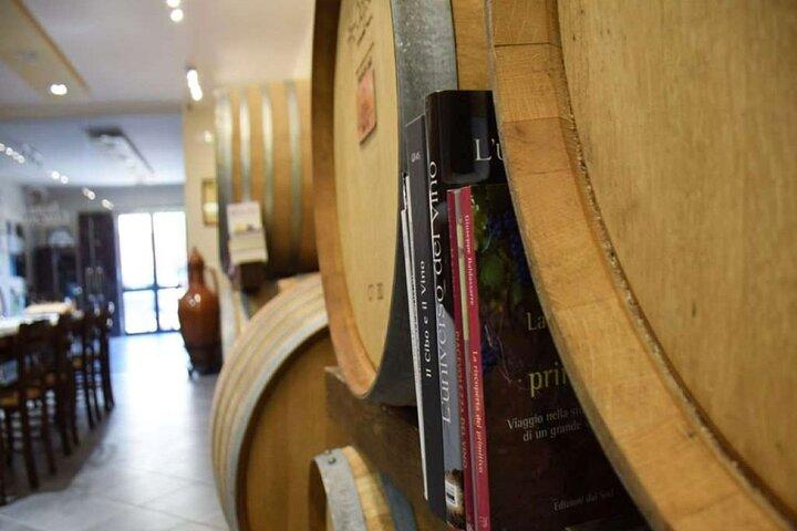 Negroamaro Wine Vineyard Tour and Tasting Experience