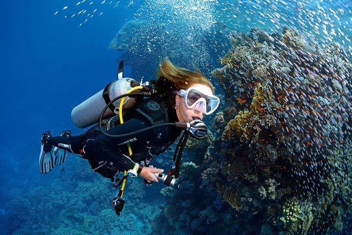 Sesión introductoria de buceo en mar abierto desde Mellieha