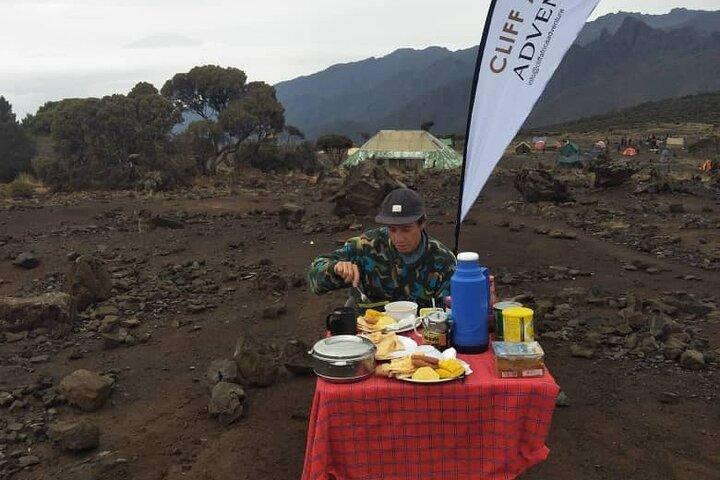 6 dage Umbwe Kilimanjaro Climb erobre toppen