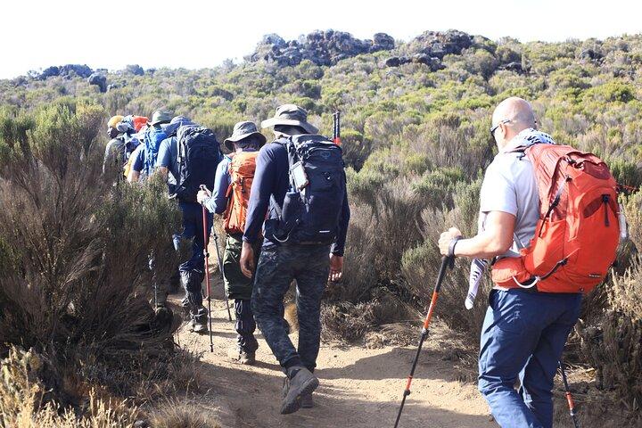 6 Day Umbwe Kilimanjaro Climb Conquer the Summit