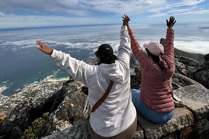 Table Mountain Private Half Day Tour with Pickup & Drop off
