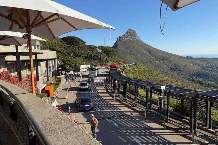 Table Mountain Private Half Day Tour with Pickup & Drop off