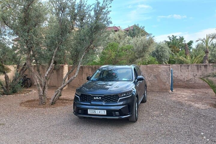 Private Transfer from Marrakech Menara Airport to Marrakech City