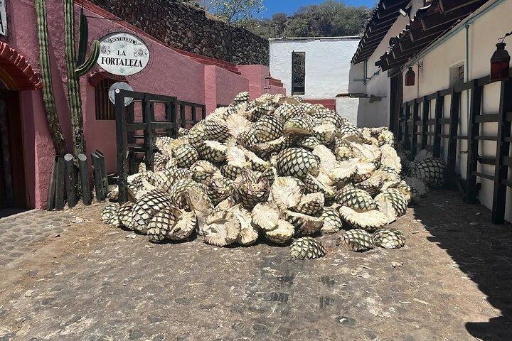 Ganztägige Tour zur Brennerei La Fortaleza und nach Cantaritos