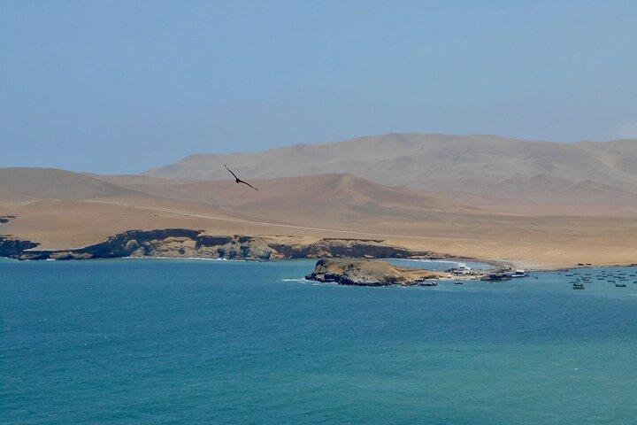 Excursión de día completo a la Bahía de Paracas y Oasis de Huacachina en Ica