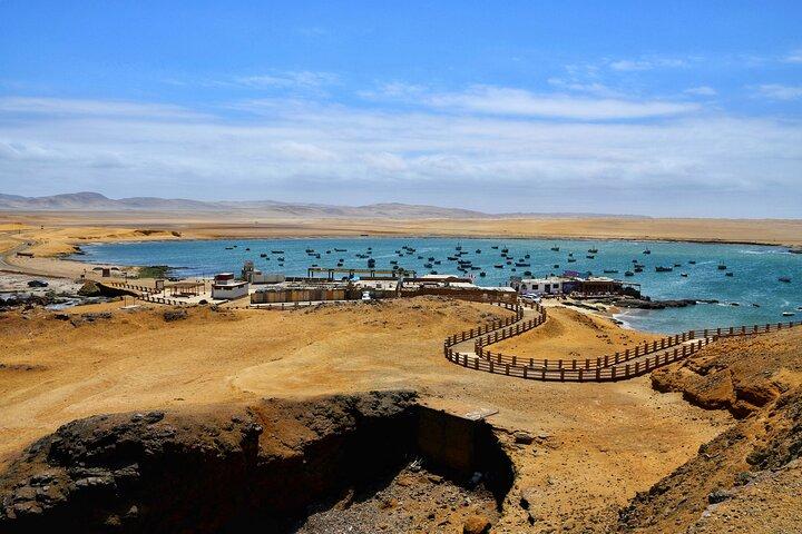 Excursión de día completo a la Bahía de Paracas y Oasis de Huacachina en Ica