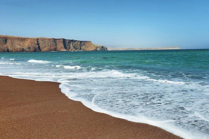 Excursión de día completo a la Bahía de Paracas y Oasis de Huacachina en Ica