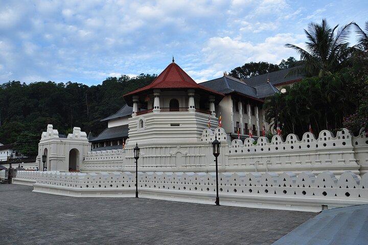 Essence du Sri Lanka Excursion de 8 jours avec Gotrex Tours