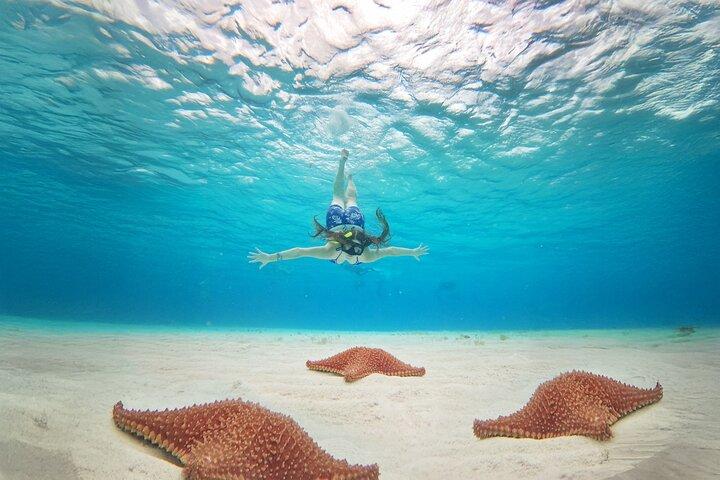 El Cielo Snorkeling Tour & Kuza Beach, Buffet e Open Bar Incluído