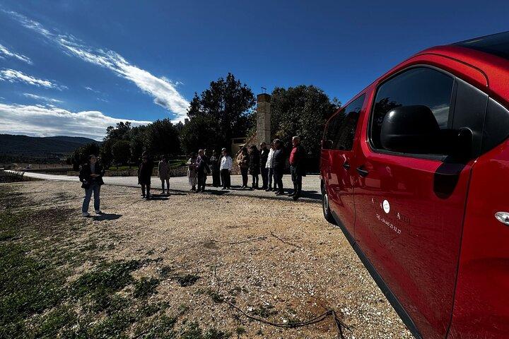 Alicante; Winery visit with two Oil and Fondillón Museums