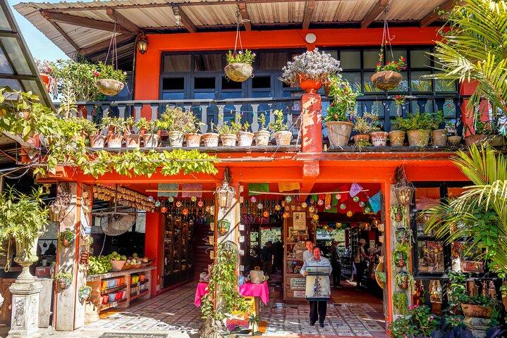Giardino Botanico : Gita privata di un giorno da Puerto Vallarta