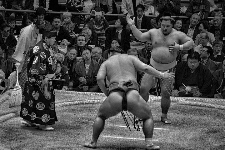 Official Sumo Tournament Ticket with Guided Experience in Tokyo