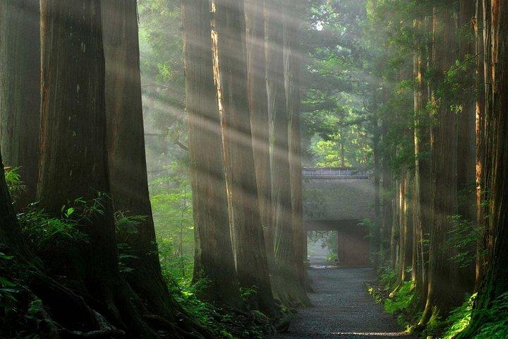 地獄谷スノーモンキーと戸隠神社プライベートツアー