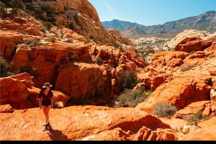 Tour condiviso a Red Rock Canyon