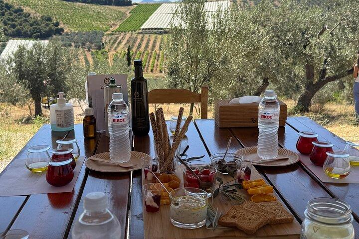 Degustazione di olio d'oliva Farm Experience, antica Corinto