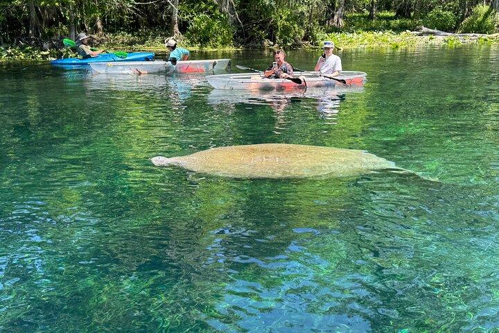 Clear Kajak eller Paddleboard Manatee Adventure