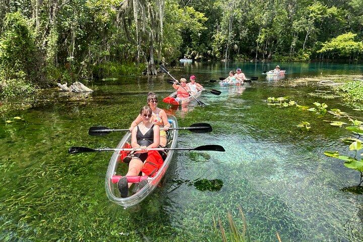 Gator View Clear Kayak Springs Tour