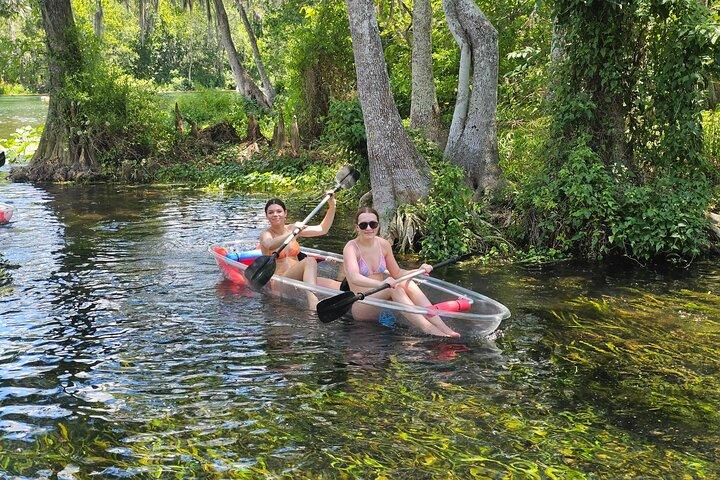 Gator View Clear Kayak Springs Tour