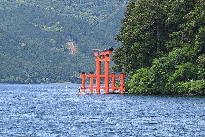 東京発富士山と伊豆ディープビュー2日ツアー