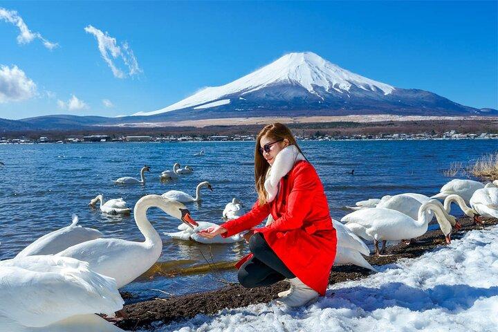 東京発富士山と伊豆ディープビュー2日ツアー