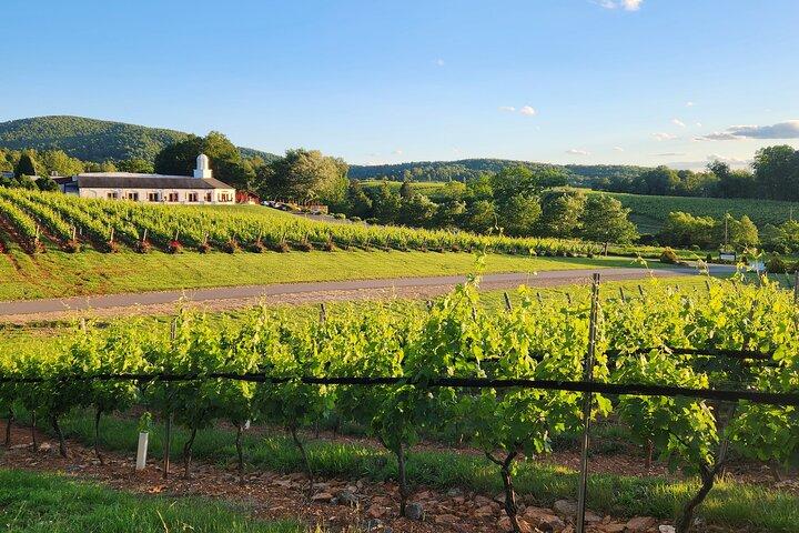 Privéwijntour door Charlottesville Area