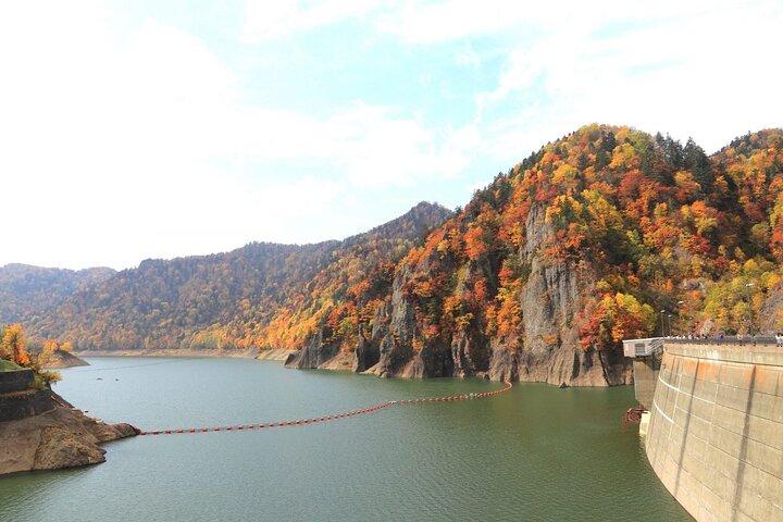 Autumn Leaves in AutumnSkiing in winterLet's go to Hoheikyo Onsen by private car (from Sapporo)