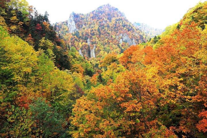 Autumn Leaves in AutumnSkiing in winterLet's go to Hoheikyo Onsen by private car (from Sapporo)