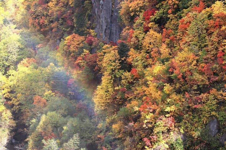 Autumn Leaves in AutumnSkiing in winterLet's go to Hoheikyo Onsen by private car (from Sapporo)
