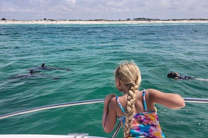 Privat svømning med delfiner og snorkeltur