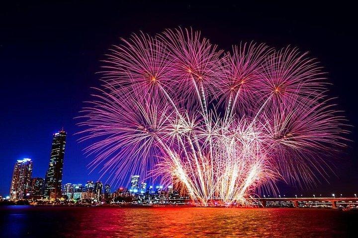 マイアミ・ニューイヤーズ・イブ花火クルーズ（オープンバー付き）