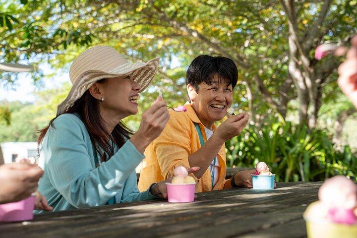 Small Group Waterfall Wetlands+ Skyrail All Inclusive from Cairns