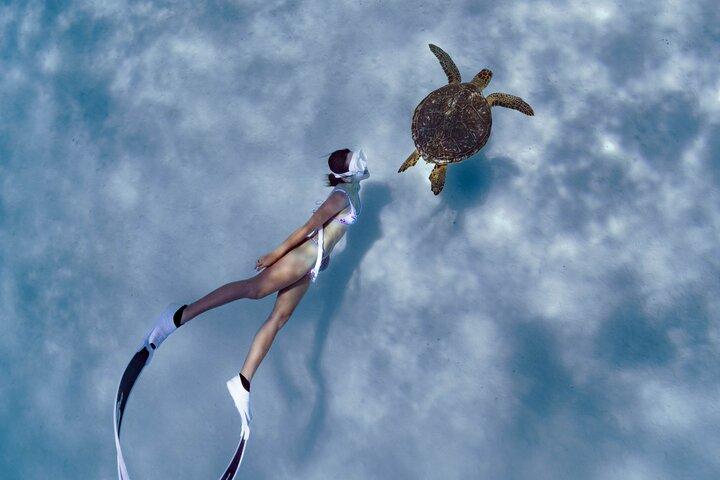 Private snorkeling tour on Ishigaki -Up to 4 People, Flat Rate-