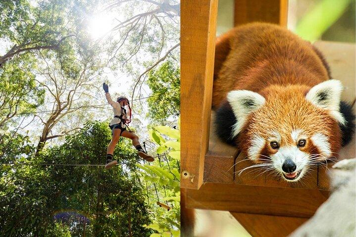 クルンビン野生動物保護区+ハイロープ&ジップラインアドベンチャー