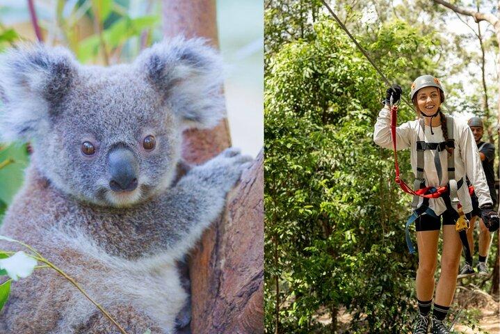 クルンビン野生動物保護区+ハイロープ&ジップラインアドベンチャー