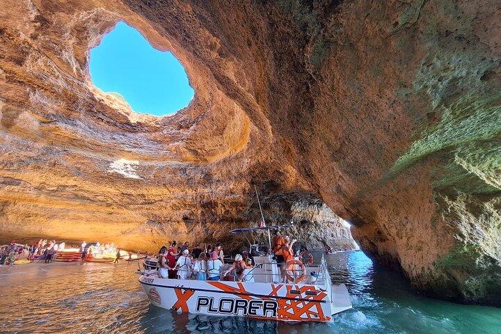 Delfinovervågning og Caves Cruise