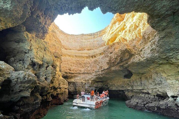 Osservazione dei delfini e crociera nelle grotte