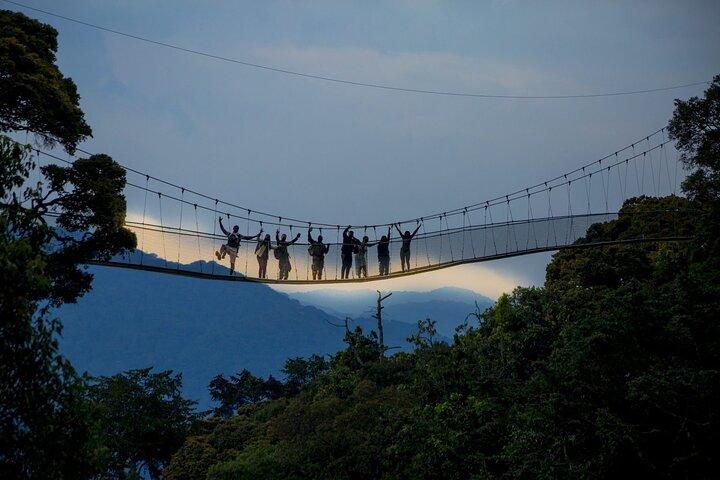 1 dag Canopy Walk Tour til Nyungwe NP
