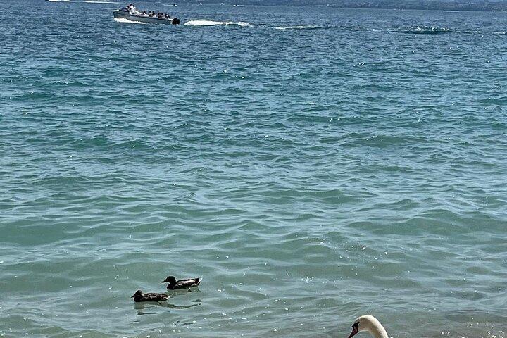 ヴェローナからガルダ湖、シルミオーネ、デセンツァーノ、ボルゲットへのツアー