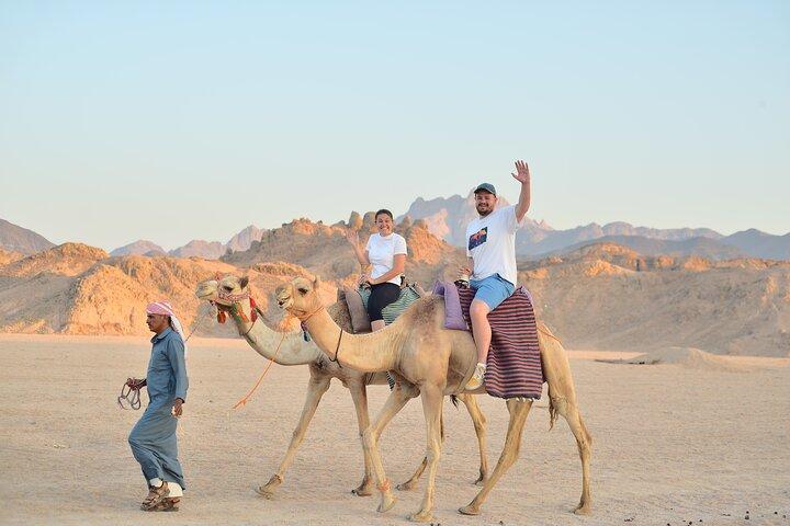 Marsa Alam : Desert Safari : 4x4, Quad, Buggy, Camel & Stargazing