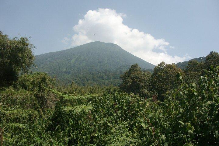 1 Tag Mount Bisoke Wanderabenteuer