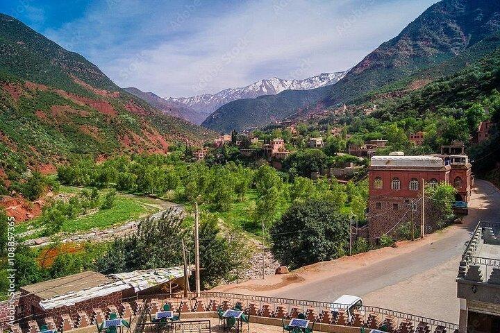 Day trip to the valley of ourika.