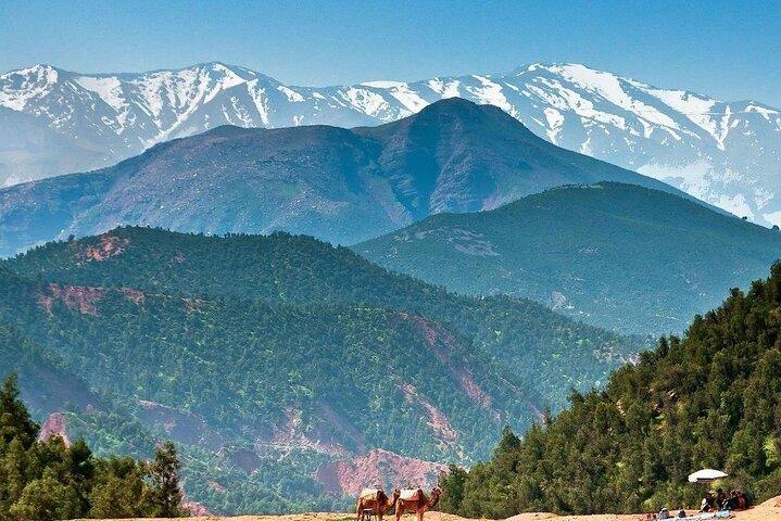 Day trip to the valley of ourika.