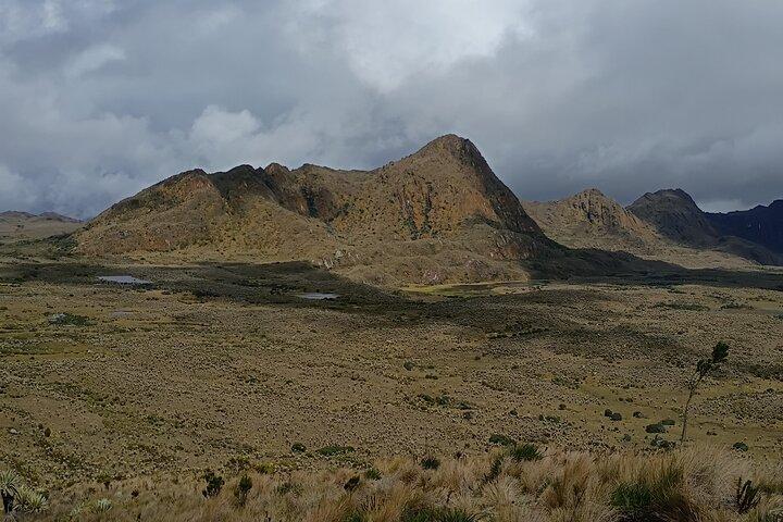 Sumapaz Mountaintop Páramo Trek - 3 hours