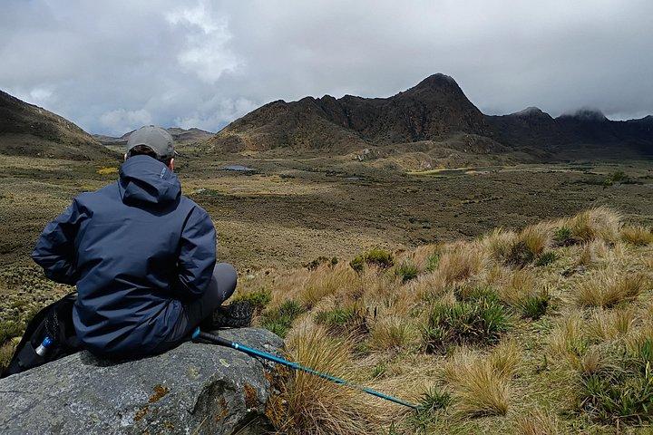 Sumapaz Mountaintop Páramo Trek - 3 hours