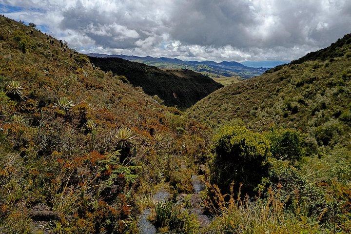 Sumapaz Mountaintop Páramo Trek - 3 hours
