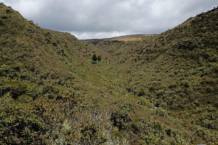 Sumapaz Mountaintop Páramo Trek - 3 hours